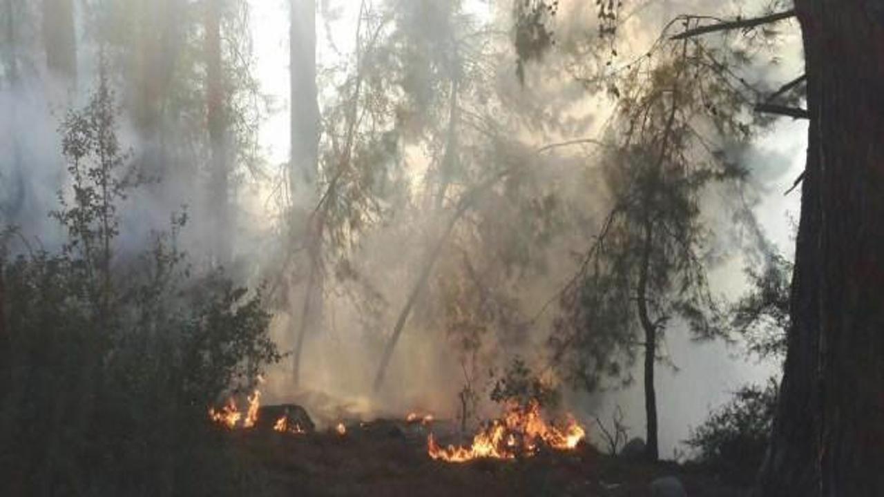 Kemer'de orman yangını