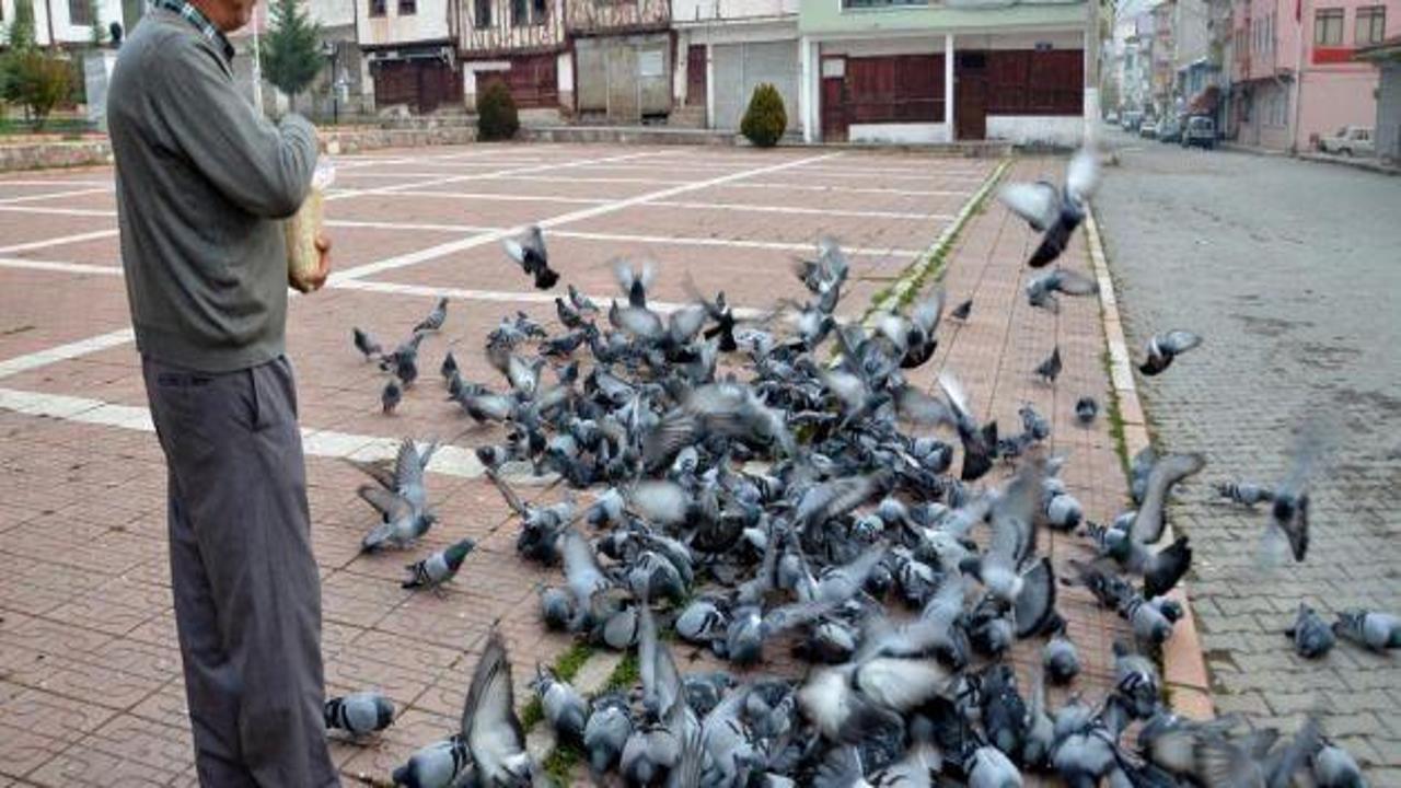 Güvercinleri yemlemeden mesaisine başlamıyor