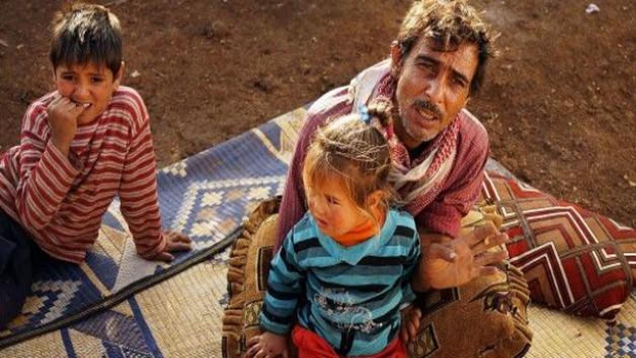 Tuzlu su, kemik ve dal parçaları topladılar