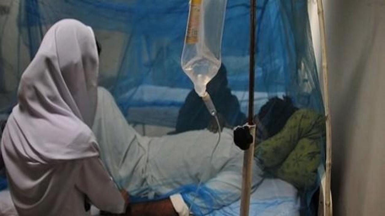 Nijerya'da sıtma salgını: 40 ölü