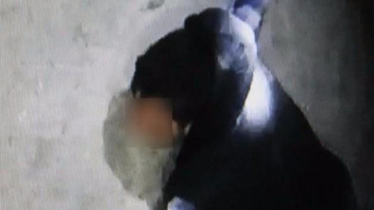 Polis PKK'lıları saklandıkları yerde yakaladı