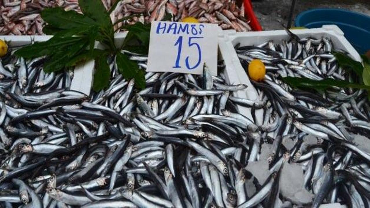 Edirne'de balık fiyatları