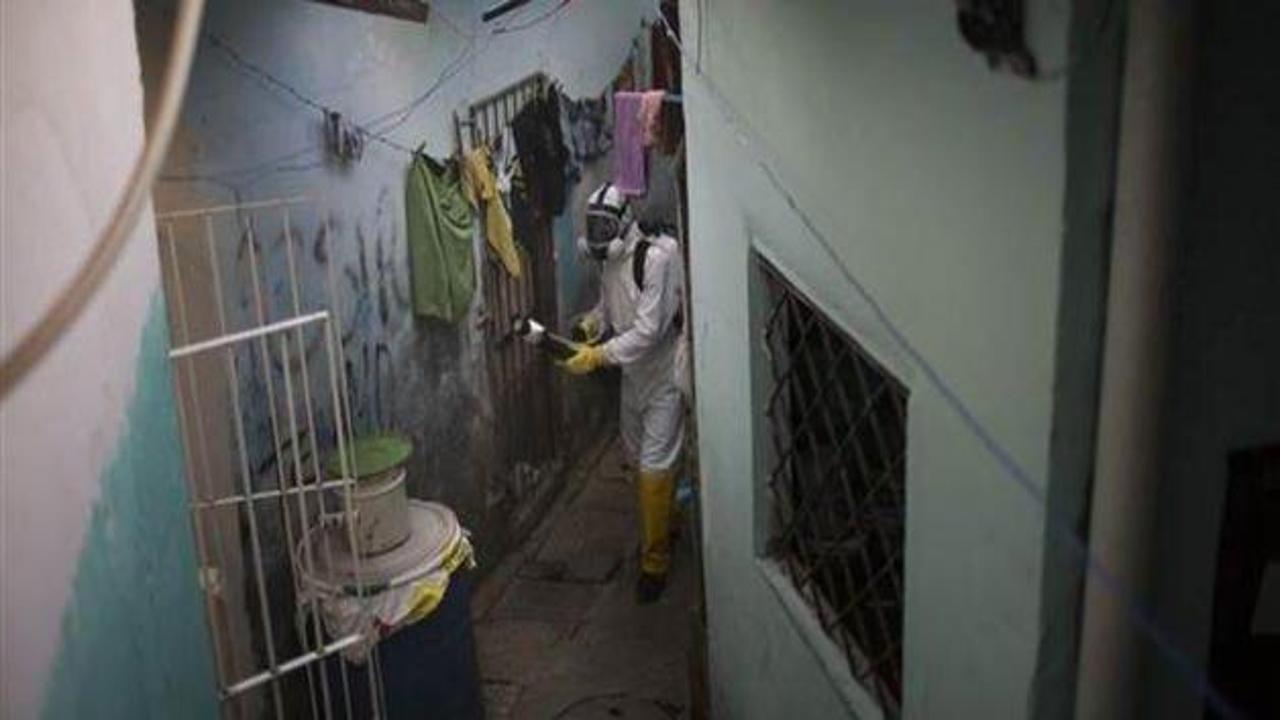 Brezilya Zika virüsüyle savaşıyor