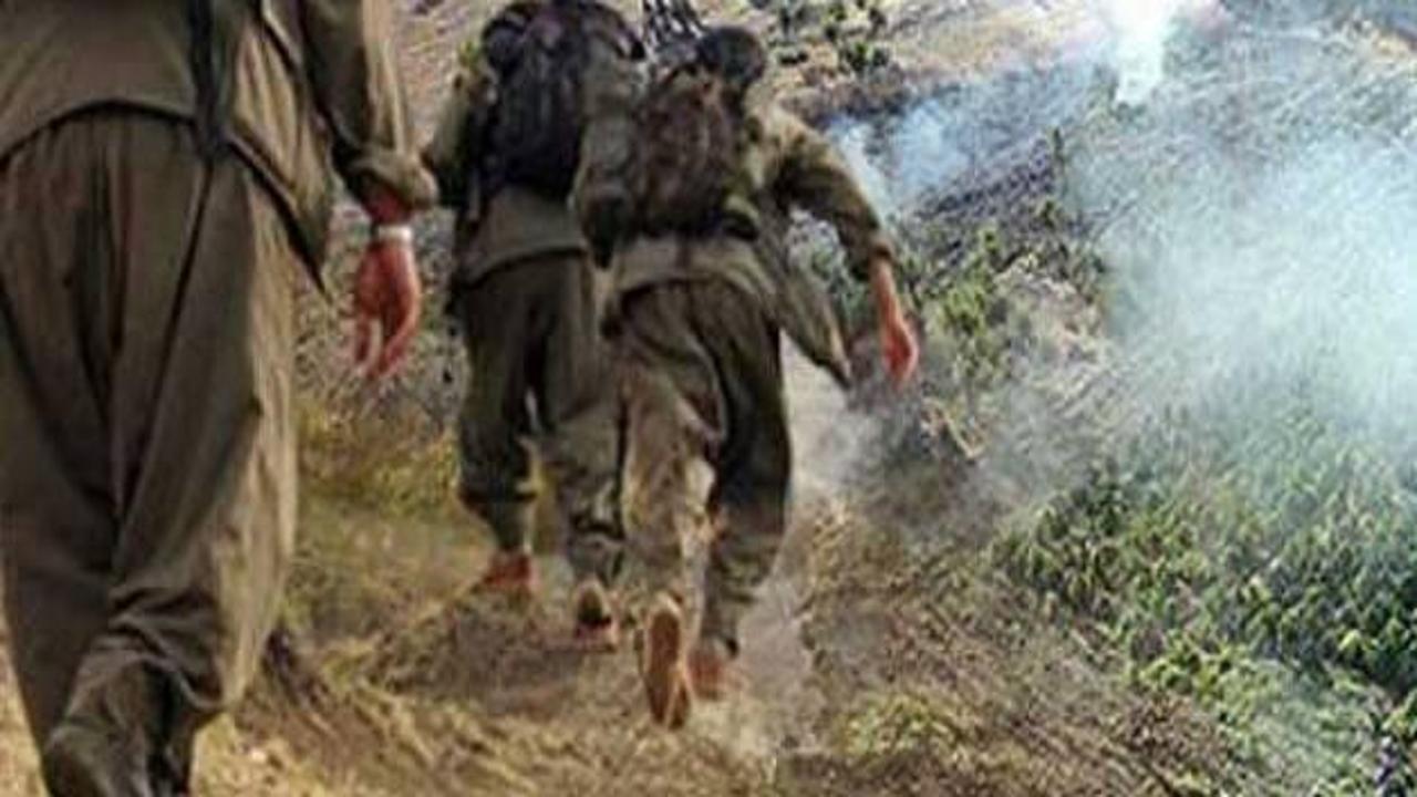 PKK yol kesti, 2 aracı yaktı