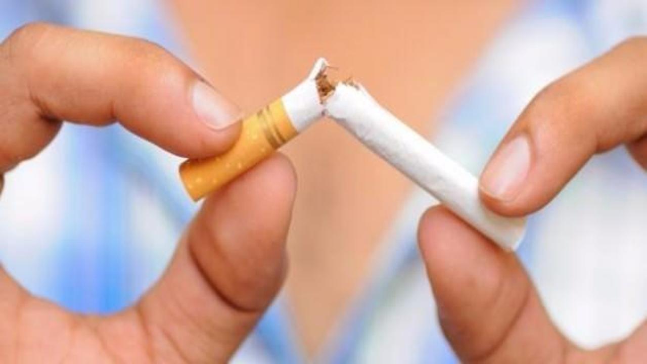Sigarada kansere yol açan 81 neden var
