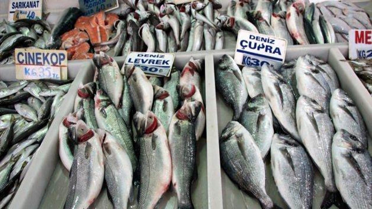 Marmara'da balık az fiyat yüksek