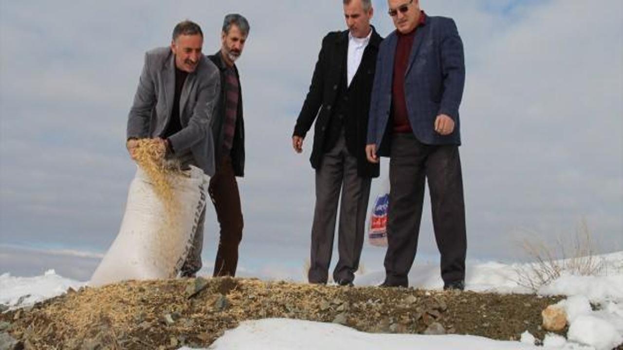 Elazığ'da avcılar doğaya yem bıraktı