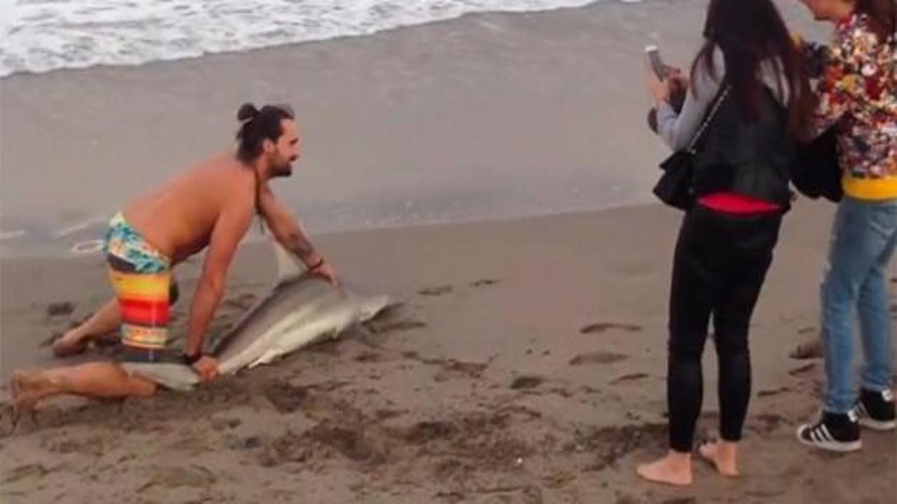 Resmen vahşet! K&ouml;pek balığını denizden &ccedil;ıkarıp...