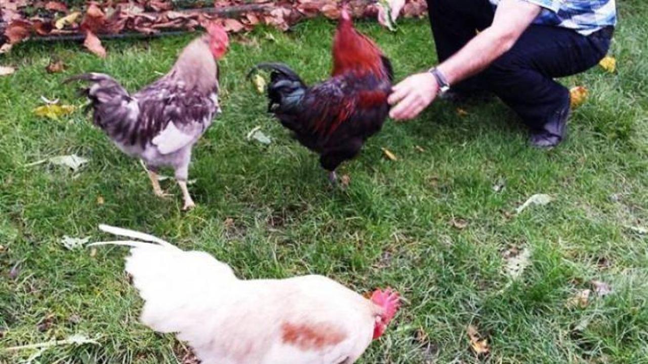  Erdoğan sevgisi bunu da yaptırdı