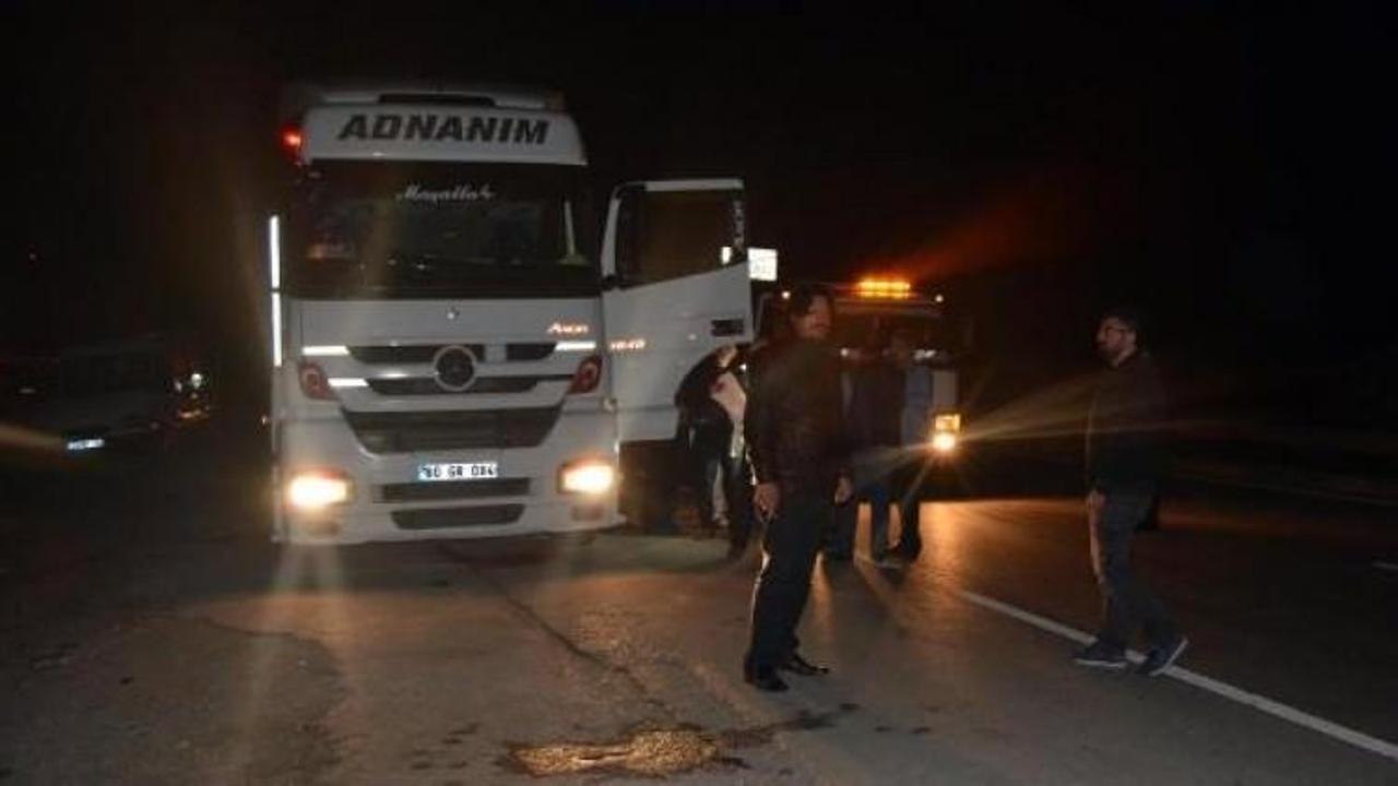 TIR şof&ouml;r&uuml; aracında &ouml;ld&uuml;r&uuml;ld&uuml;