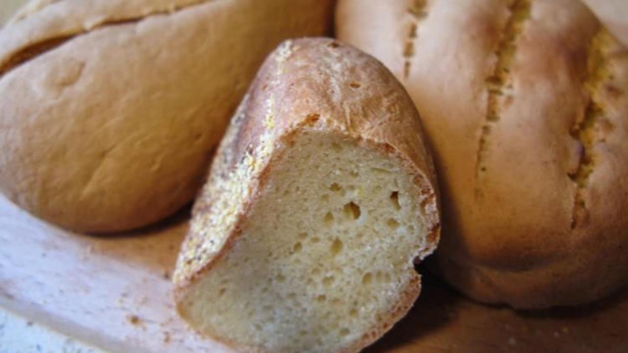Ekmek küfünün inanılmaz özelliği!
