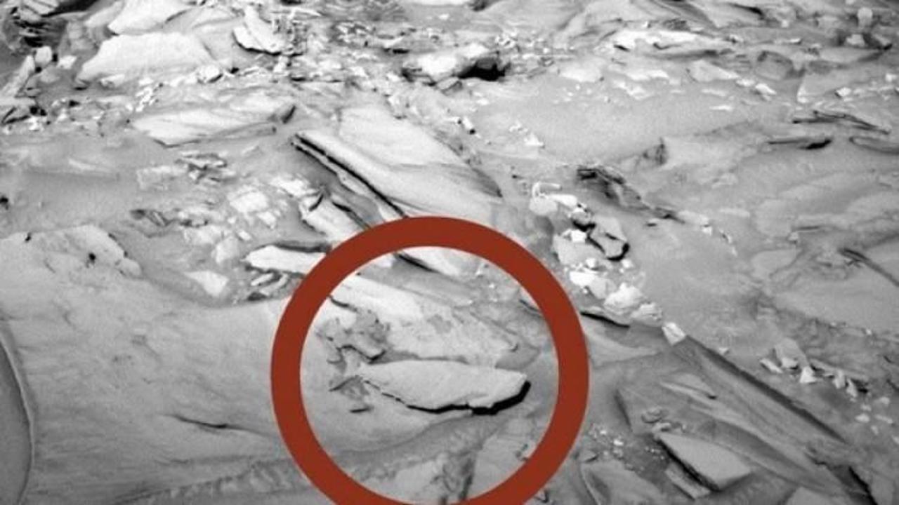 Mars'ta balık fosili mi bulundu?