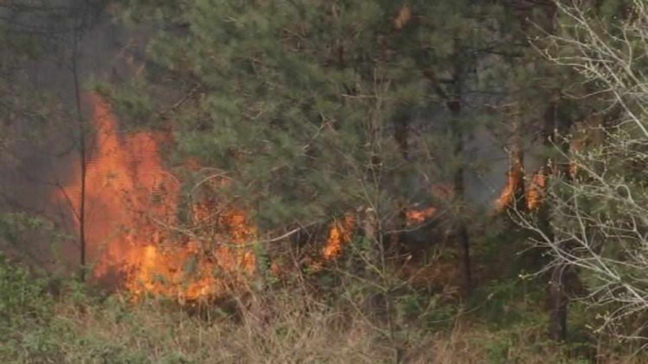 İstanbul’da ormanlık alanda korkutan yangın