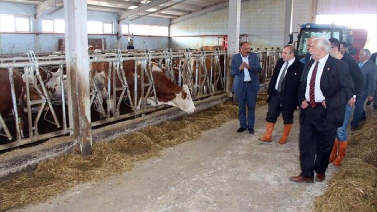 Kaymakam Karaman, süt tesislerinde incelemelerde bulundu