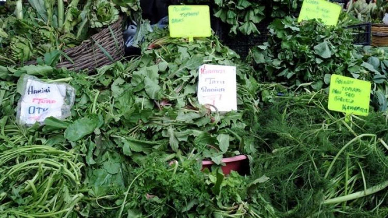 Ege'nin otları şifa saçıyor