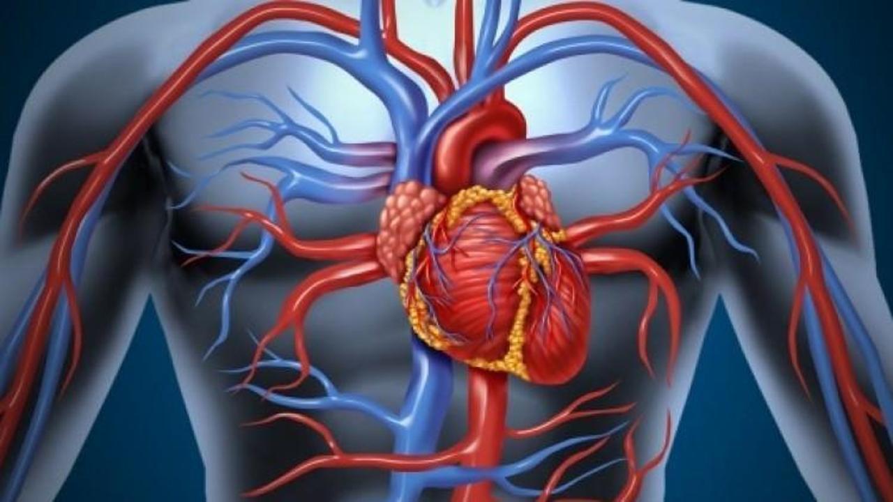 Gençlerde kalp damar hastalıkları artıyor