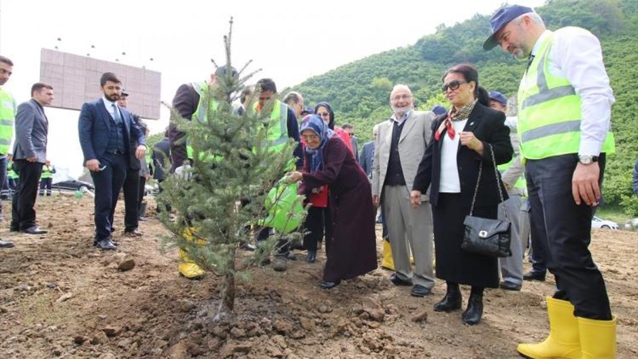 Ordu'da fidan dikimi