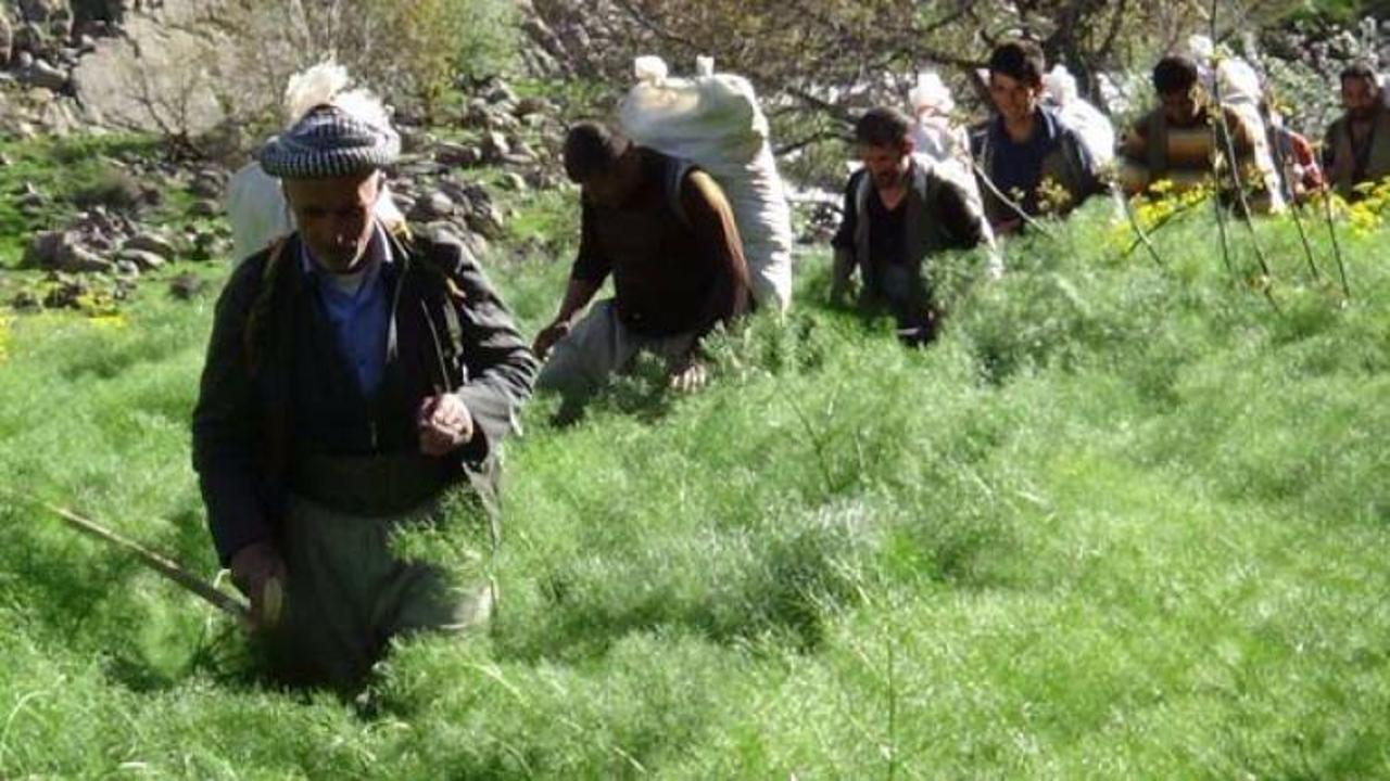 Çatışma bölgesinde ekmek kapısı oldu!