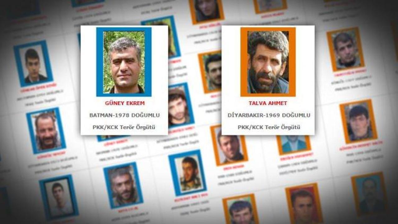 Mavi ve Turuncu listedeki iki terörist öldürüldü