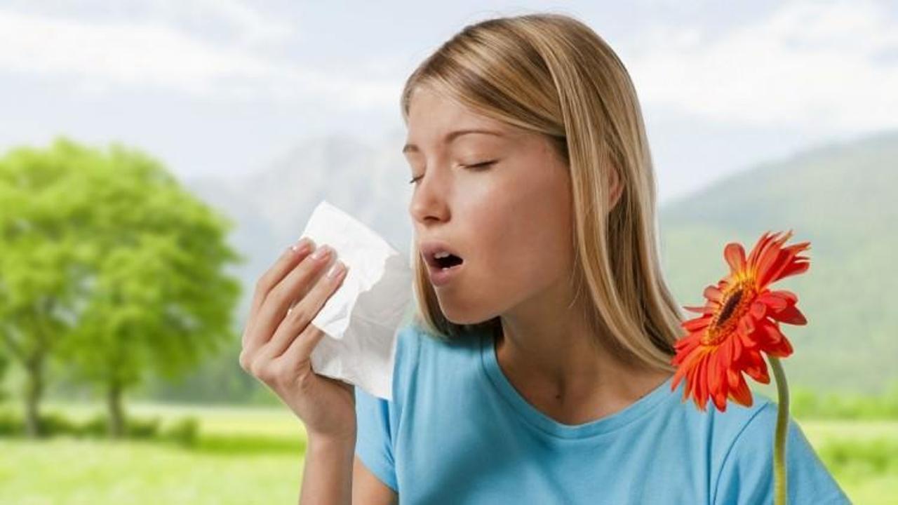 Polen alerjisi olanlara "piknik" uyarısı