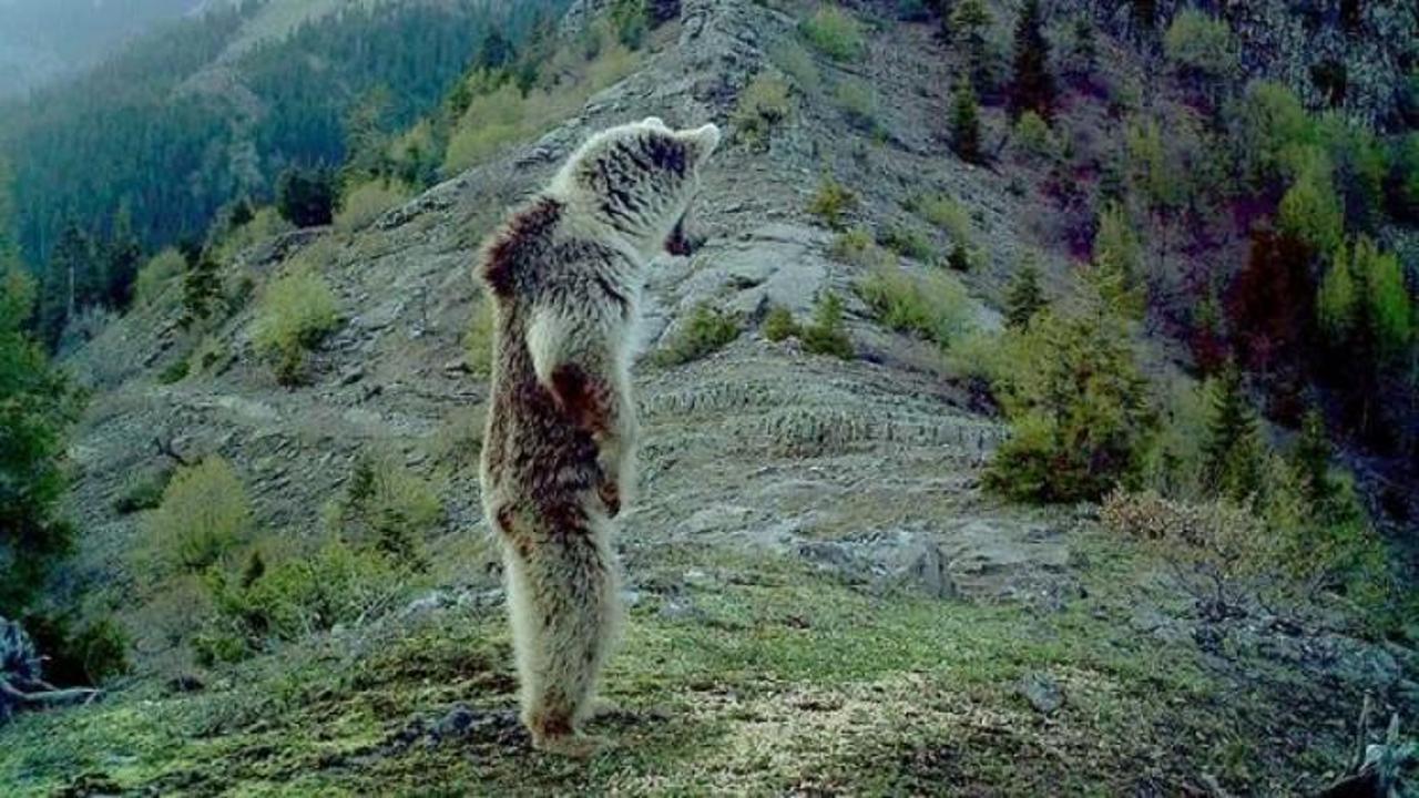 Bu g&ouml;r&uuml;nt&uuml;y&uuml; Bakan Eroğlu sosyal medyada paylaştı