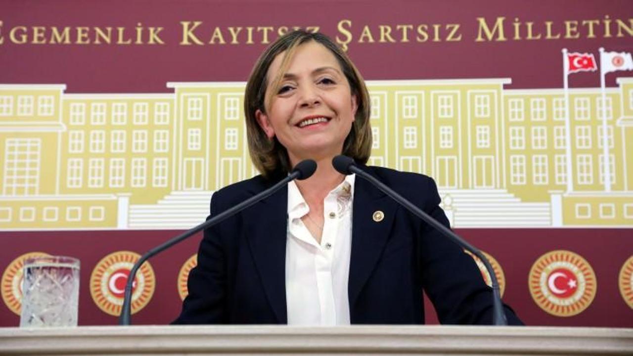 CHP'li vekiller T&uuml;rkiye'yi Fransız'a şikayet etti!