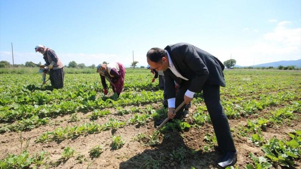 Başkan Özaltun, tarım işçilerini ziyaret etti