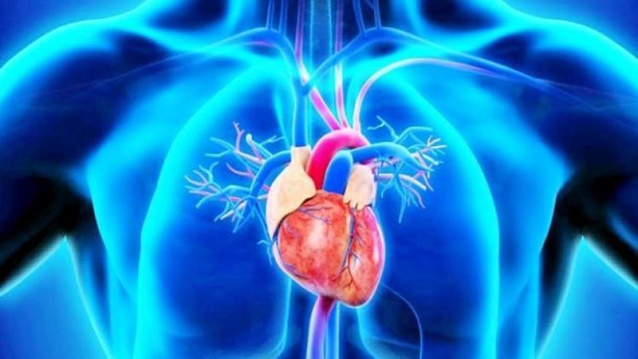 Aort damarı için düzenli kontrol şart