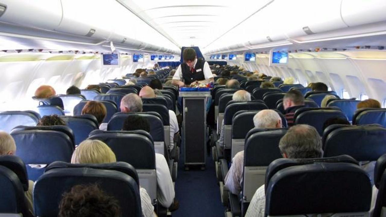 Uçak fareleri yolcuların kabusu oldu