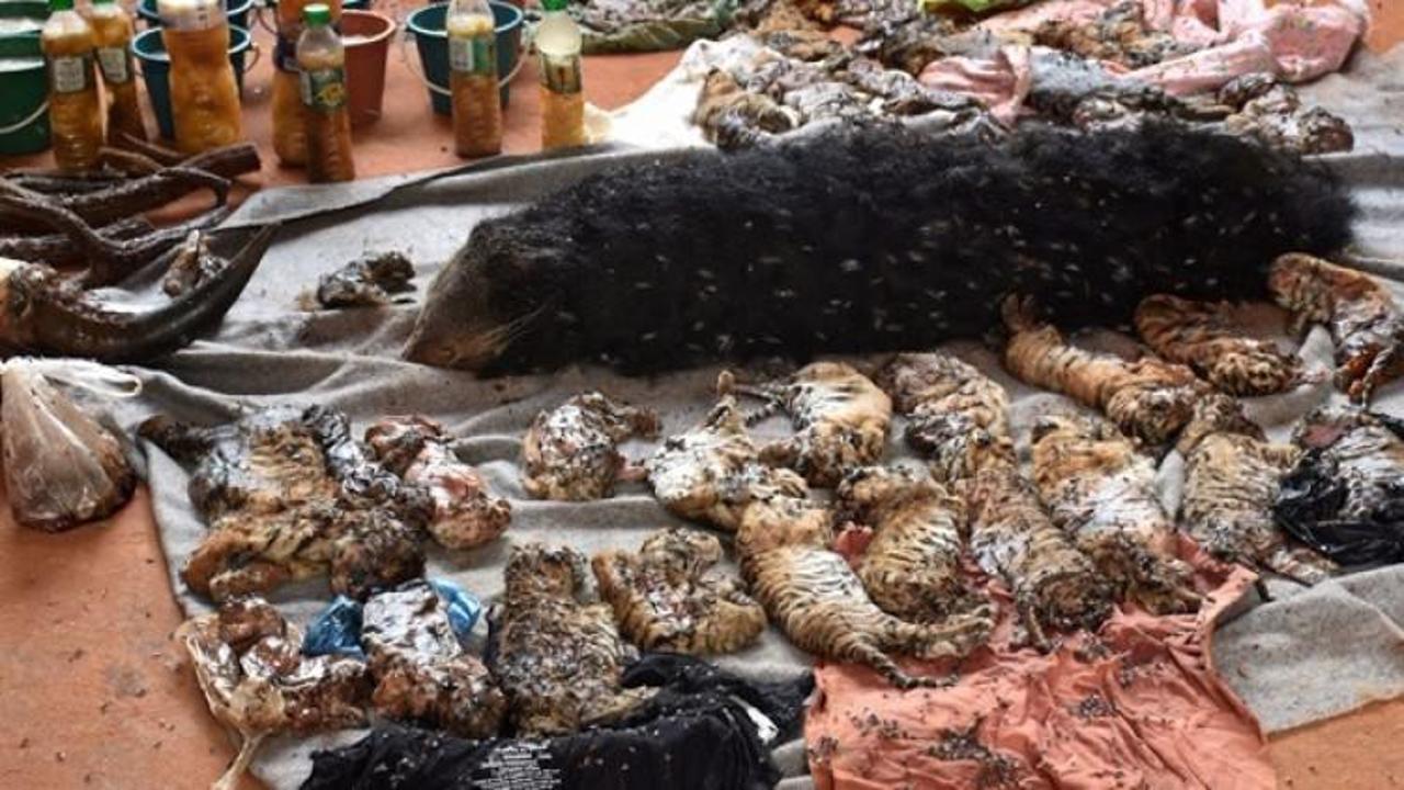 Budist tapınağında kan donduran g&ouml;r&uuml;nt&uuml;!