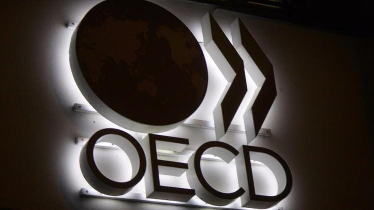 OECD Türkiye tahminini yükseltti