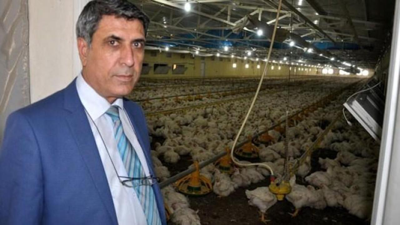 Prof. Dr. Çelik: Tavuk yemeyin demek doğru değil