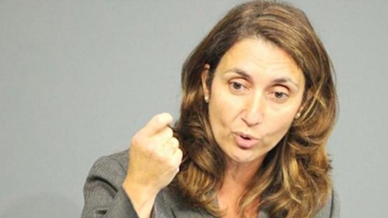 T&uuml;rk vekil: T&uuml;rkiye'nin vekili değilim