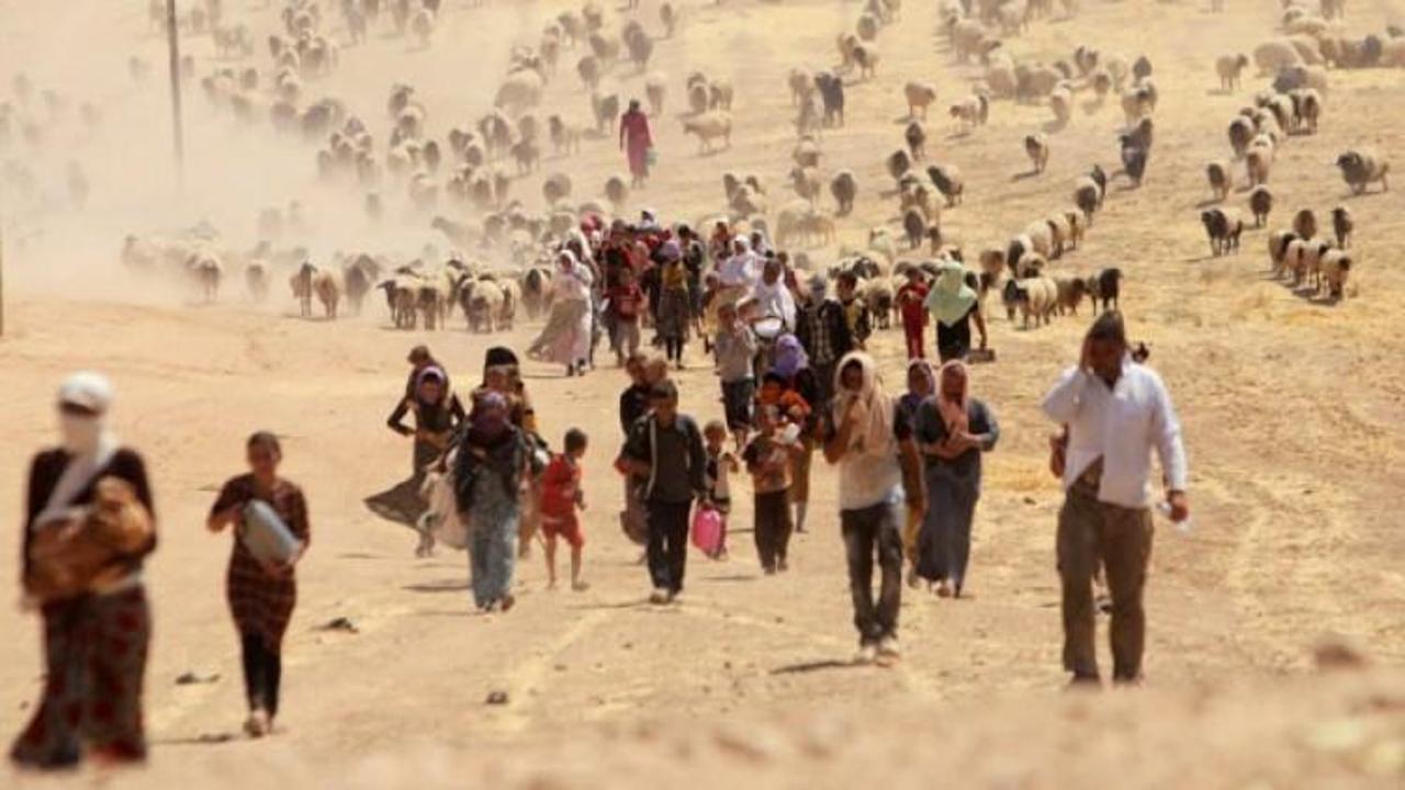 BM: IŞİD Ezidilere soykırım yaptı