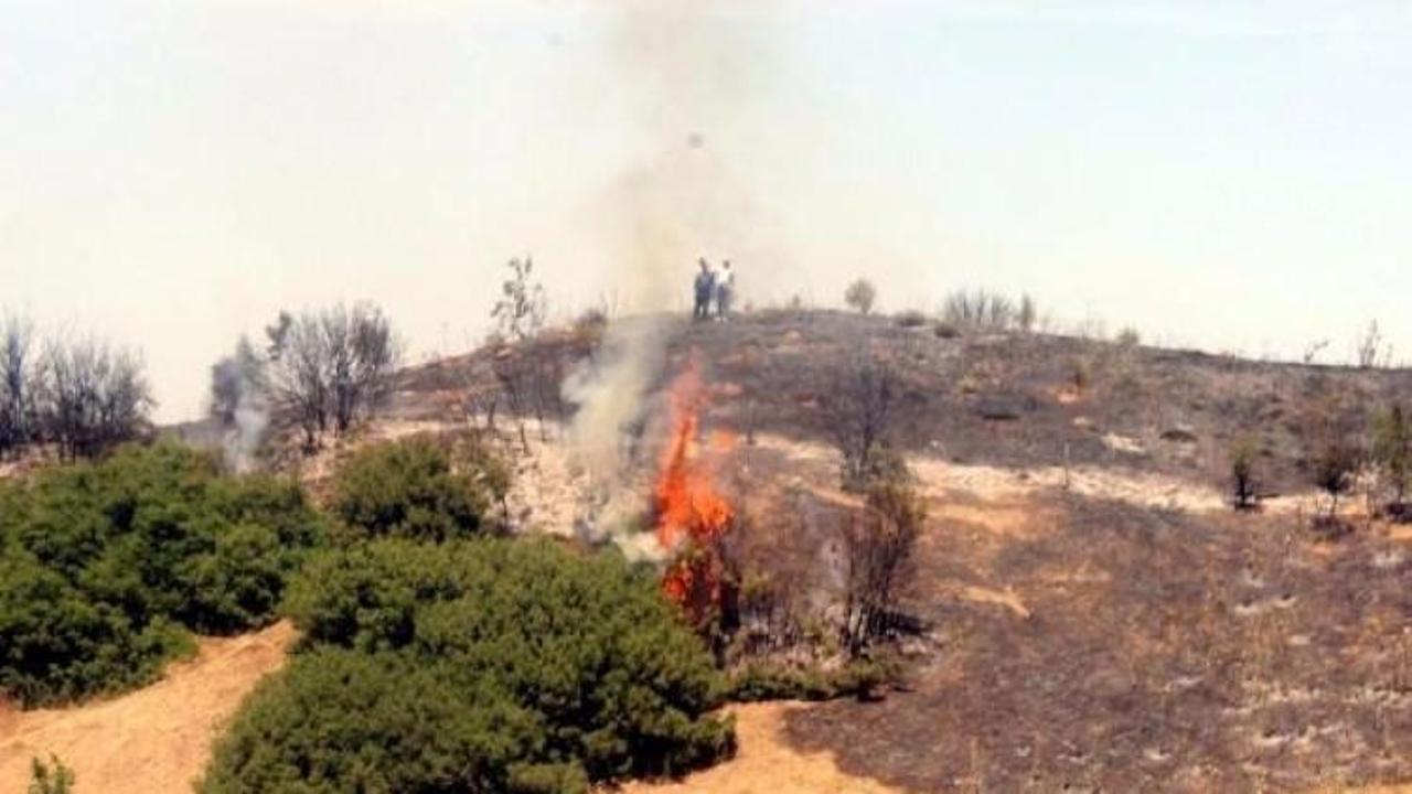 Balıkesir'de orman yangını