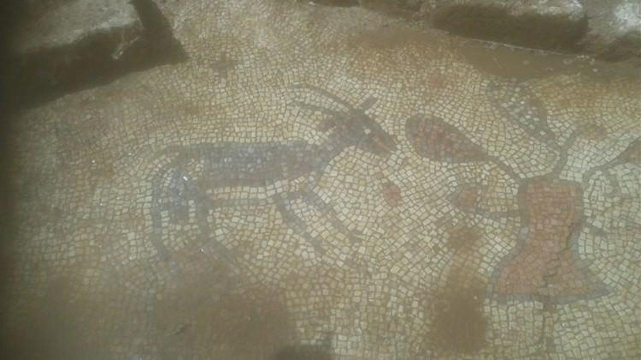 Adıyaman'da taban mozaikler bulundu