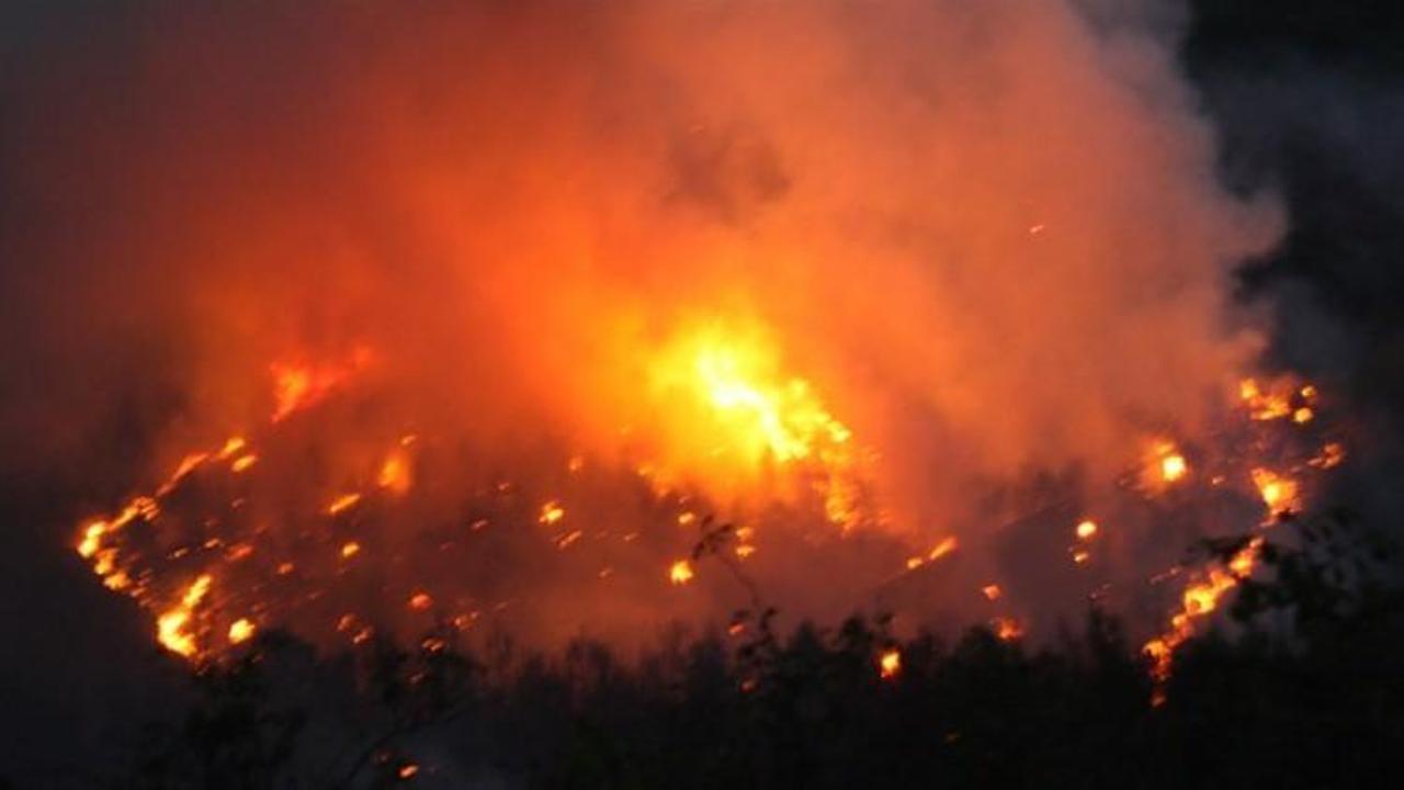 Saros Körfezi'nda büyük yangın