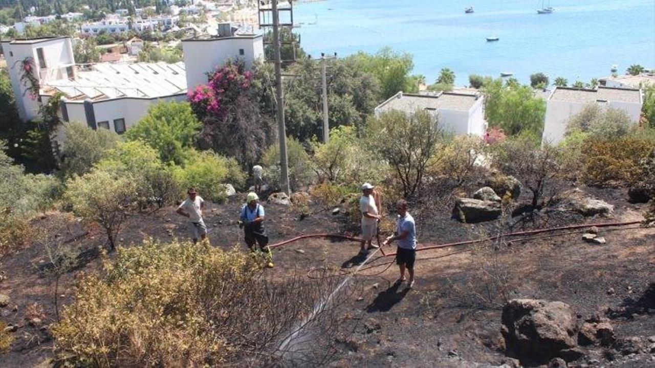 Elektrik teline çarpan kuş yangın çıkardı