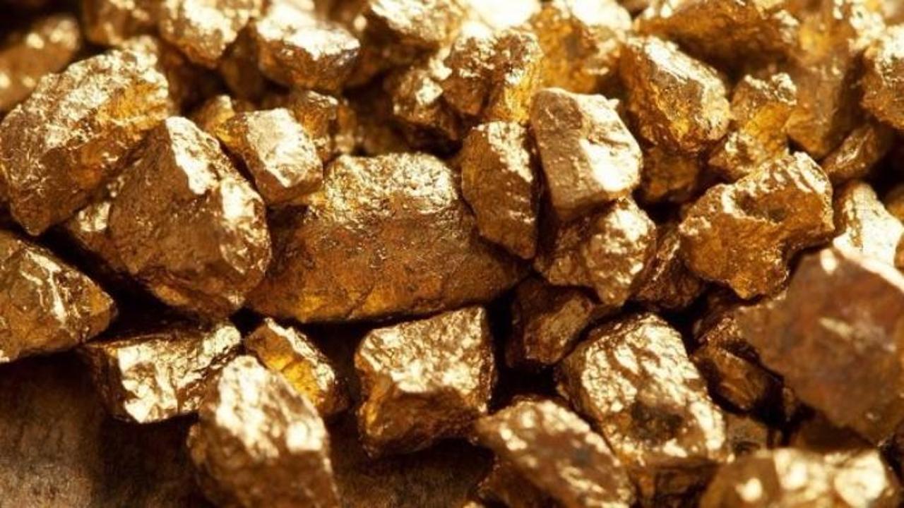 Altın yükselişini sürdürüyor