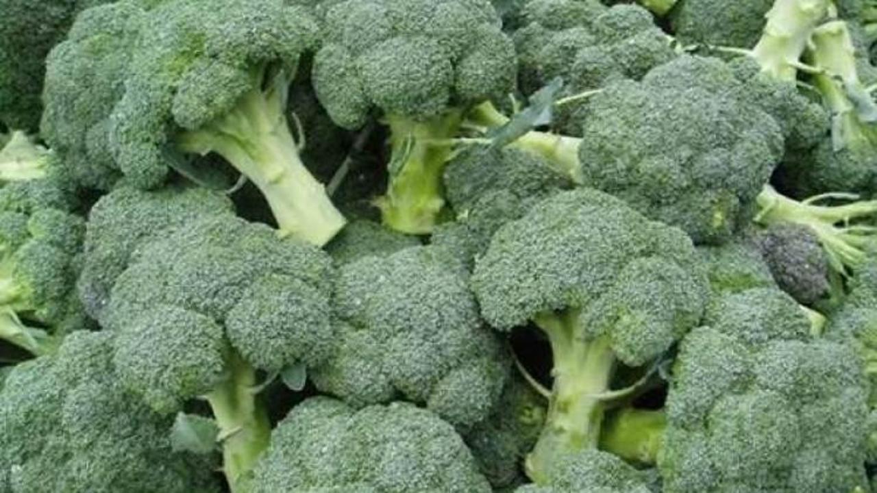 Kansere karşı brokoli lahana ve marul yiyin