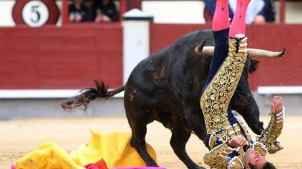 İspanya'da boğa, matadoru öldürdü