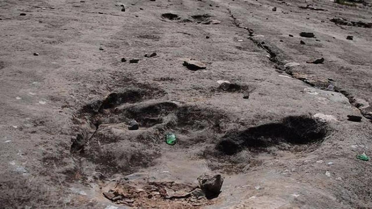 Bolivya'da dinozor izi bulundu