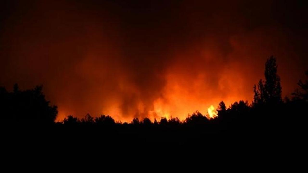 İzmir'de orman yangını! Kontrol altına alınamıyor