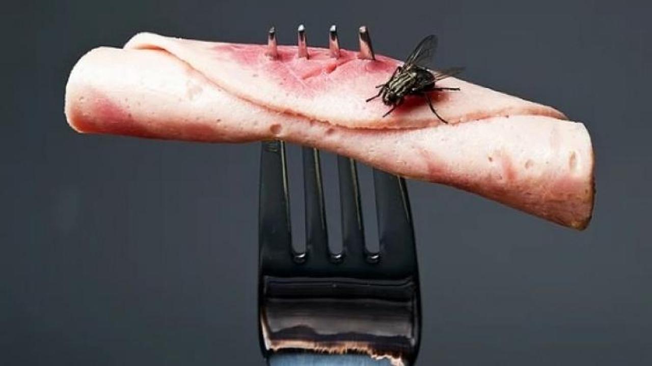 Üzerine sinek konan yemeği sakın yemeyin! 