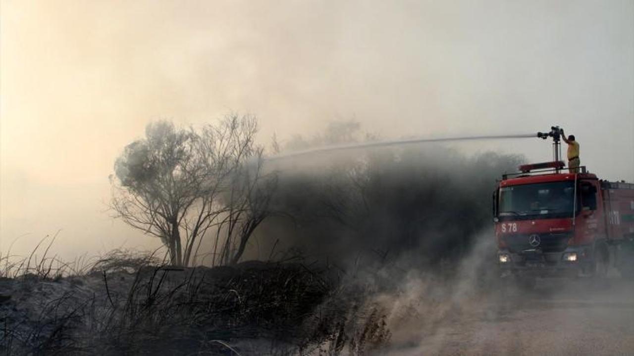 Muğla'da sazlık alan yangını
