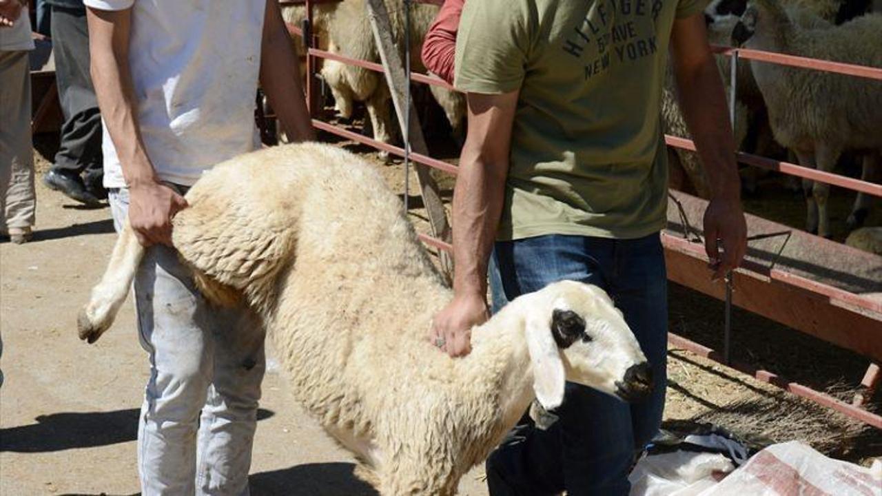 Kurban pazarında arife hareketliliği