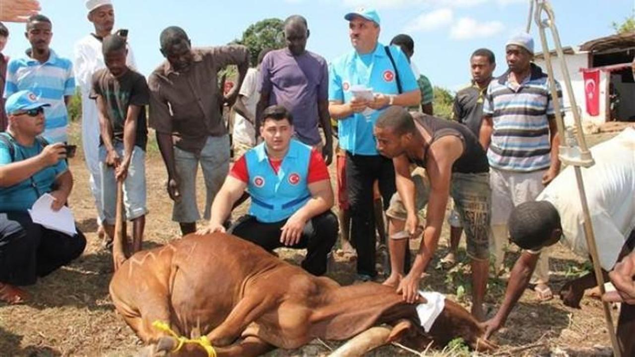 Erdoğan'ın vekalet verdiği kurban orada kesildi
