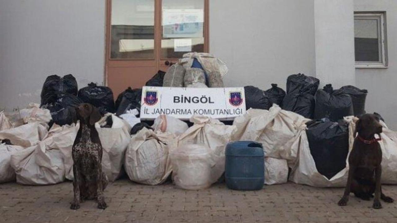 Bingöl'de 714 kilo esrar ele geçirildi