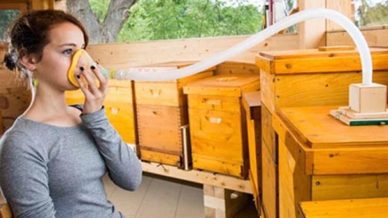 Şifa kaynağı arılar şaşırtıyor