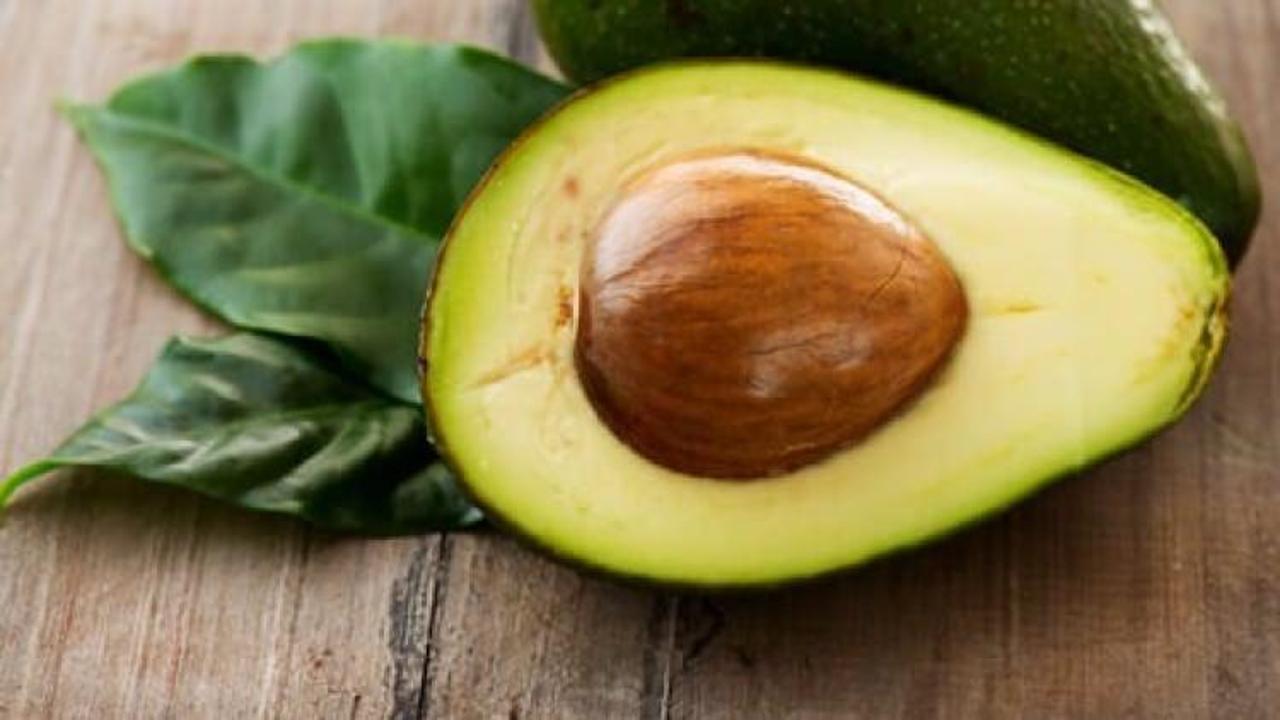 Evde avokado nasıl yetiştirilir?